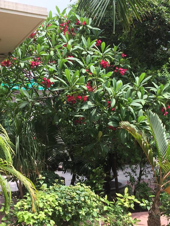 Barwara Kothi Hotell Jaipur Exteriör bild